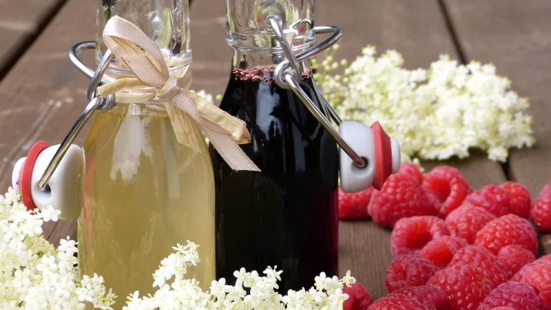 Apotheke (Herbatki Dla Dzieci, Dorosłych, Błonnik Syrop Dla Dzieci Z Tymianku I Dzikiej Róży Bio 250g – Apotheke