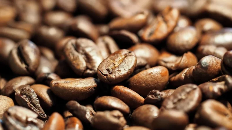 Broda Coffee Kawa Ziarnista Brazylia Yellow Bourbon Mogiana Premium Arabica 1kg