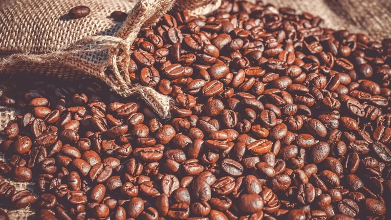 Coffeelab Kawa Ziarnista Coffee Lab Etiopia Sidamo Sagara 250g