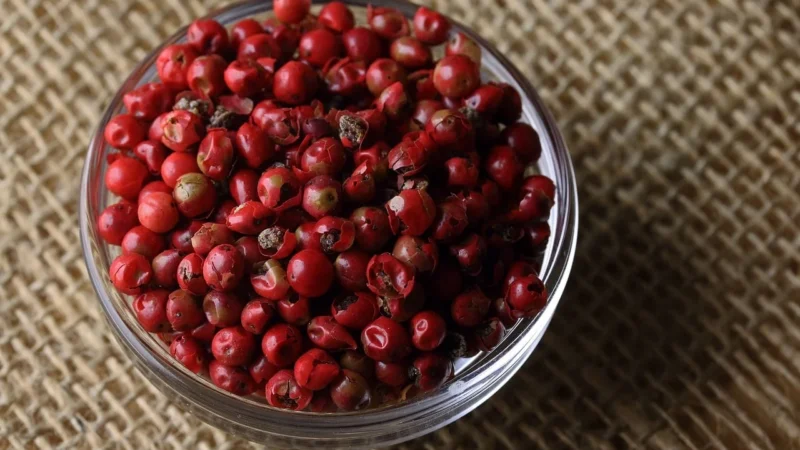 Czubrica czerwona czubryca 30g naturalna przyprawa
