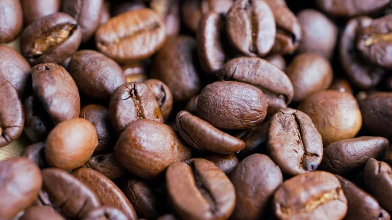 Hit Swisso Kaffee Kawa Ziarnista 100% Arabica 3 kg