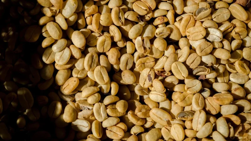 Izzo caffe kawa ziarnista gold puszka 1kg