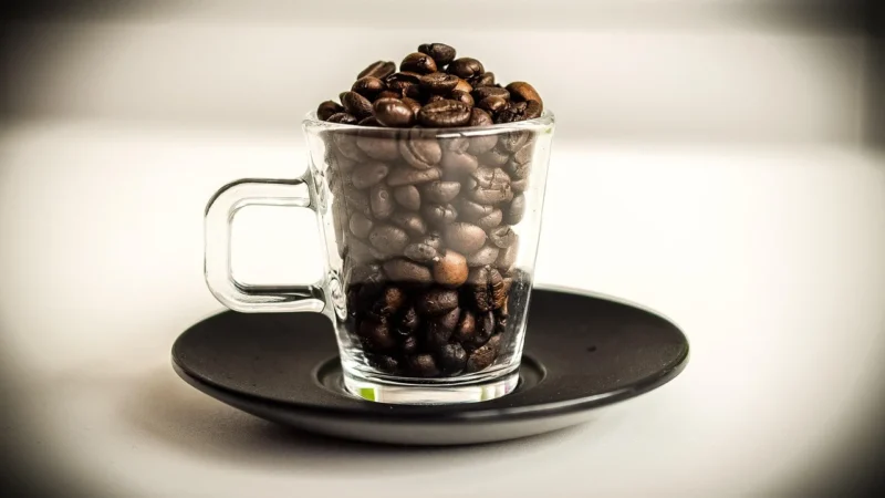 Kajfowa Kawa Ziarnista Dostojny Łoś I Szykowny Borsuk Zestaw 2Kg