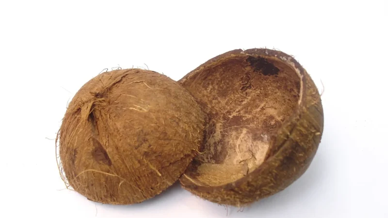 Kubara Baton Owocowy Kokos & Orzech Dobra Kaloria 35G