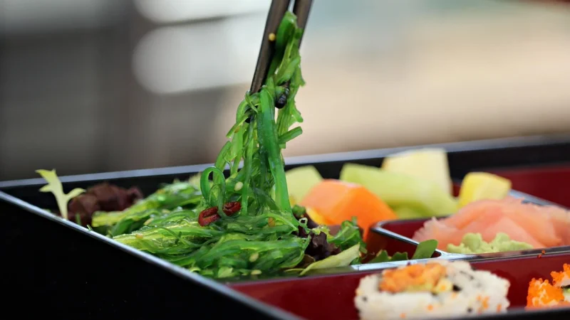 Meal Box Łosoś w Kremowym Sosie 360g