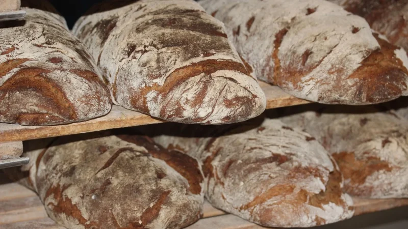 Najlepsi producenci pieczywa, których warto znać