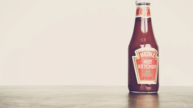 Pudliszki ketchup łagodny 480g