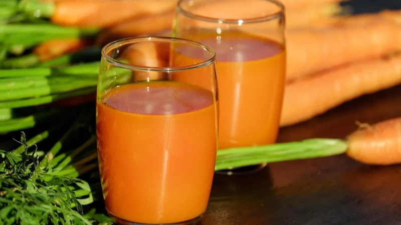 Sątyrz Probiotyczny Sok Z Kiszonej Kapusty I Marchewki Bio 500ml