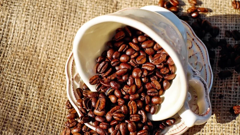 Vergnano kawa ziarnista espresso 1kg