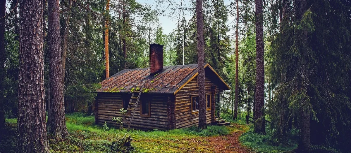 Wpływ produkcji mebli z drewna na środowisko naturalne